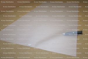 10 Mil Polycarbonate Film